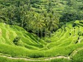 Lika-liku Pariwisata Berkelanjutan