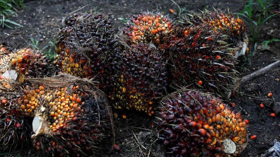 Bahkan beberapa ada yang dari untung jadi buntung alias merugi.