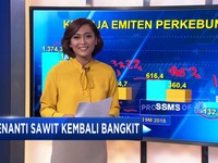 Menanti Sawit Kembali Bangkit