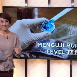 Rupiah Sempat Beraksi di Level 13.000-an