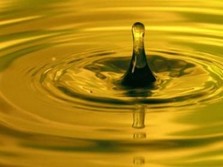 Foto: Ilustrasi ethanol. (Reuters/Jason Reed)