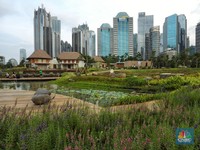 Norwegia Kasih Hadiah Rp 840 M ke RI, Ada Angin Apa?