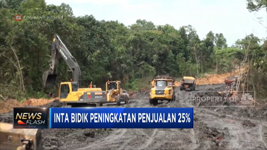 INTA Bidik Penjualan Naik 25%