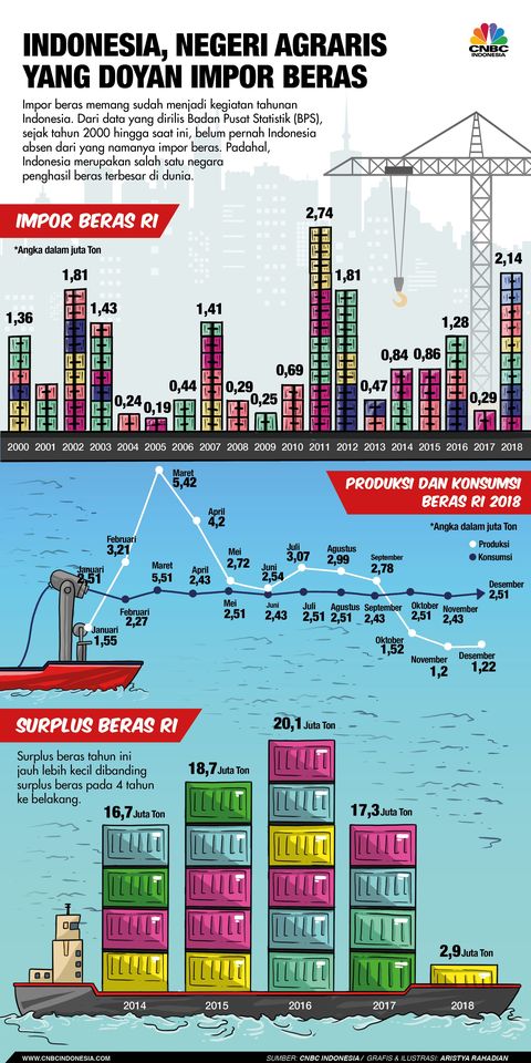 Negara Agraris Kok Masih Impor Beras?