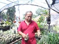 Koleksi Kaktus Pembawa Berkah Hari Tua Adjie