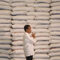 Jokowi Terbang ke Papua Cek Gudang Beras