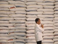Masih Rajin Impor Beras, Swasembada Bagaimana Pak Jokowi?
