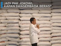 Video: Jadi Pak Jokowi, Kapan RI Swasembada Beras?