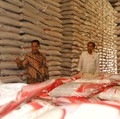 Buwas Sebut Beras Bulog Terancam Busuk, Lalu Buat Apa?