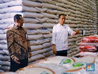 Perintah Jokowi! Beras Bulog Diminta Makin 'Kaya' Vitamin