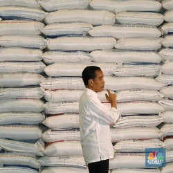 Punya Stok 2,37 Juta Ton, Bulog Tak Mau Impor Beras
