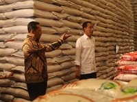 20 Ribu Ton Beras Bulog Mau Dimusnahkan, Tunggu Sri Mulyani