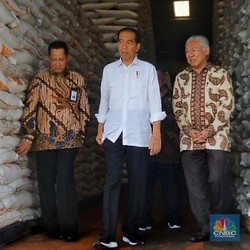 Catat! Buwas Sebut RI tak Perlu Impor Beras Hingga 2020
