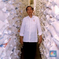 Mungkinkah RI Lepas Dari Jeratan Impor Beras?