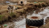 Naiknya permukaan laut dikhawatirkan dapat menenggelamkan kota Tasiilaq dan kota-kota lain yang berada dekat kutub.