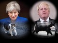 VIDEO: Larry, Kucing 'Brexit' di Kantor PM Inggris