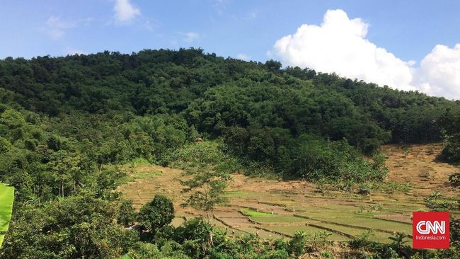 Geopark Meratus Akan Didaftarkan ke UNESCO