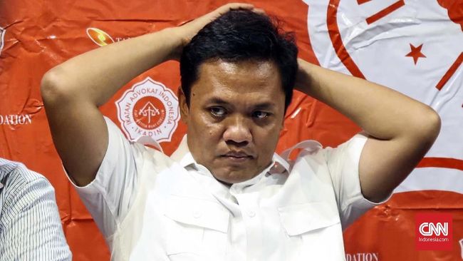 Tim Prabowo Tak Tersinggung Saran Jokowi soal Pilih Pemimpin