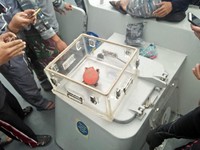 Penjelasan Lengkap KNKT Soal Bocornya CVR Lion Air JT 610