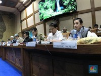 Terungkap, Ini 3 Program Inalum Usai Sukses Rebut Freeport