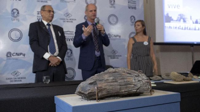 Museum Brasil Adakan Pameran Pertama Sejak Terbakar