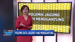 Data Jagung yang Menggantung