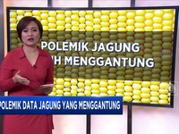 Data Jagung yang Menggantung