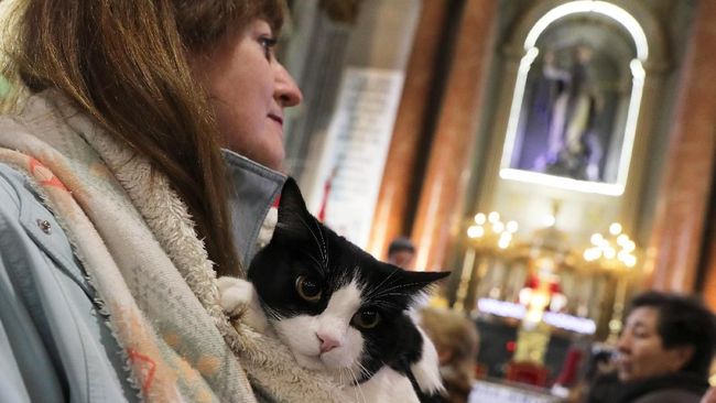 Memberkati Anjing dan Kucing Peliharaan di Gereja Madrid
