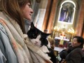 Memberkati Anjing dan Kucing Peliharaan di Gereja Madrid