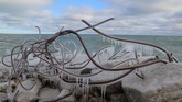 Salju yang meliputi rangka baja di lokasi pembuangan akhir di Tommy Thompson Park Ontario, Kanada. (Reuters/Chris Helgren)