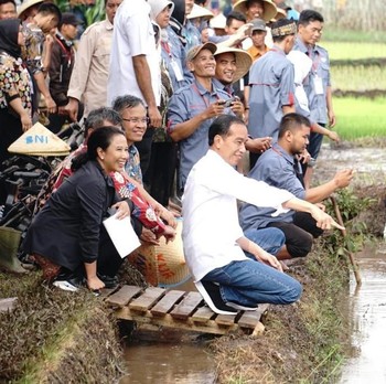 Sambil Turun ke Sawah, Jokowi Ajak Petani Ambil KUR