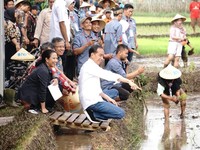 Sambil Turun ke Sawah, Jokowi Ajak Petani Ambil KUR