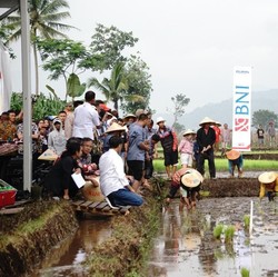 Jokowi: Petani yang Dapat KUR Jangan Dipakai Beli Motor!