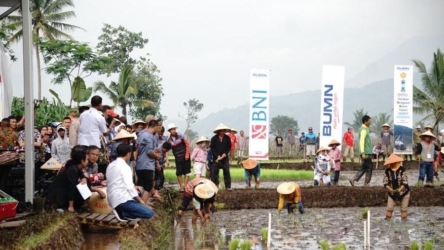 Presiden Joko Widodo (Jokowi) meninjau realisasi program Wirausaha Tani BNI di Garut