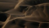 Tak seperti ajang balap kendaraan biasanya, Reli Dakar berlangsung selama dua minggu di gurun pasir di Peru.