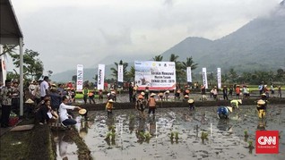 TKN Akui Gelontorkan Rp2 Miliar untuk Jokowi Borong Sabun