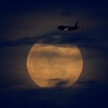 Ilmuwan Bercocok Tanam Pakai Tanah Bulan, Hasilnya?