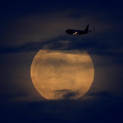 Ilmuwan Bercocok Tanam Pakai Tanah Bulan, Hasilnya?