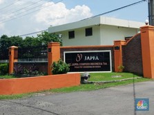 Harga Ayam Turun, Bagaimana Nasib Saham JPFA, CPIN & MAIN?