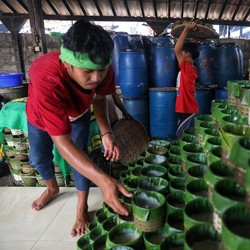Makanan Khas Imlek Ini Awalnya Dibuat untuk 'Sogokan'
