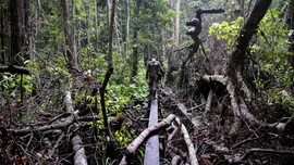 FOTO: Menjaga Marwah Hutan Aceh