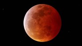 Warna merah pada Bulan terjadi ketika Bulan masuk ke bayangan bumi dan sinar matahari yang menembus ke Bulan mesti melewati atmosfer Bumi yang berpolusi dan penuh debu (REUTERS/Mike Blake)