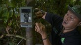 Namun luas kawasan hutan yang ada di Subulussalam semakin terancam akibat eksistensi kebun sawit.