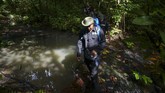 Tak hanya kawasan Suaq Balimbing, Aceh juga memiliki hutan Subulussalam yang menjadi kawasan perlindungan untuk beberapa satwa seperti gajah, beruang, dan ular king kobra.