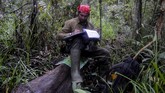 Penanaman pohon kelapa sawit yang tidak sesuai aturan, mengancam keseimbangan ekosistem dan akan berujung pada bencana seperti banjir dan longsor.