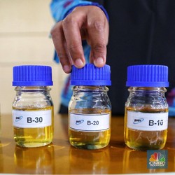 Pemerintah Pastikan Tidak Ada Rencana Pemangkasan B30