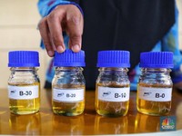 Pemerintah Pastikan Tidak Ada Rencana Pemangkasan B30