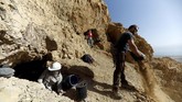 Kumpulan manuskrip pertama kali ditemukan tahun 1947 oleh orang Badui setempat di daerah Qumran, sekitar 20 km di timur Yerusalem. (REUTERS/Ronen Zvulun)