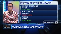 2019, Antam Cari Jodoh untuk Smelter di Sorong
