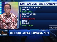 2019, Antam Cari Jodoh untuk Smelter di Sorong